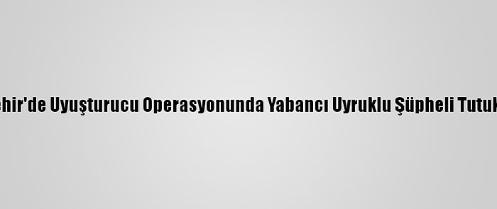 Nevşehir'de Uyuşturucu Operasyonunda Yabancı Uyruklu Şüpheli Tutuklandı