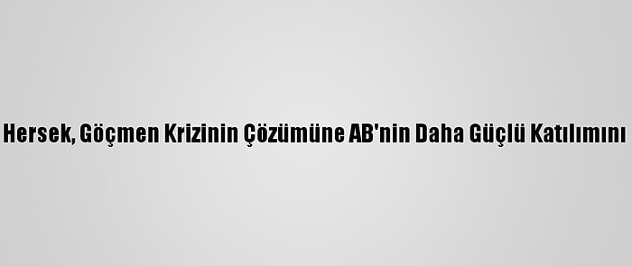 Bosna Hersek, Göçmen Krizinin Çözümüne AB'nin Daha Güçlü Katılımını İstiyor