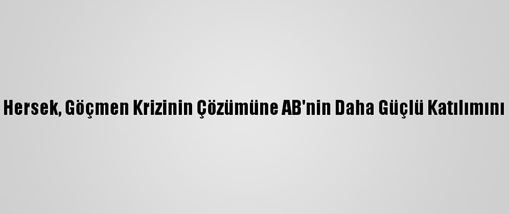Bosna Hersek, Göçmen Krizinin Çözümüne AB'nin Daha Güçlü Katılımını İstiyor