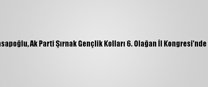 Bakan Kasapoğlu, Ak Parti Şırnak Gençlik Kolları 6. Olağan İl Kongresi'nde Konuştu: