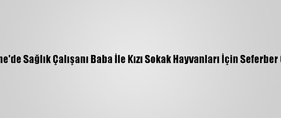 Edirne'de Sağlık Çalışanı Baba İle Kızı Sokak Hayvanları İçin Seferber Oldu