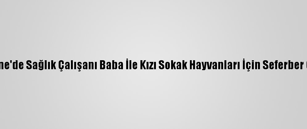 Edirne'de Sağlık Çalışanı Baba İle Kızı Sokak Hayvanları İçin Seferber Oldu