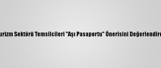 Turizm Sektörü Temsilcileri "Aşı Pasaportu" Önerisini Değerlendirdi