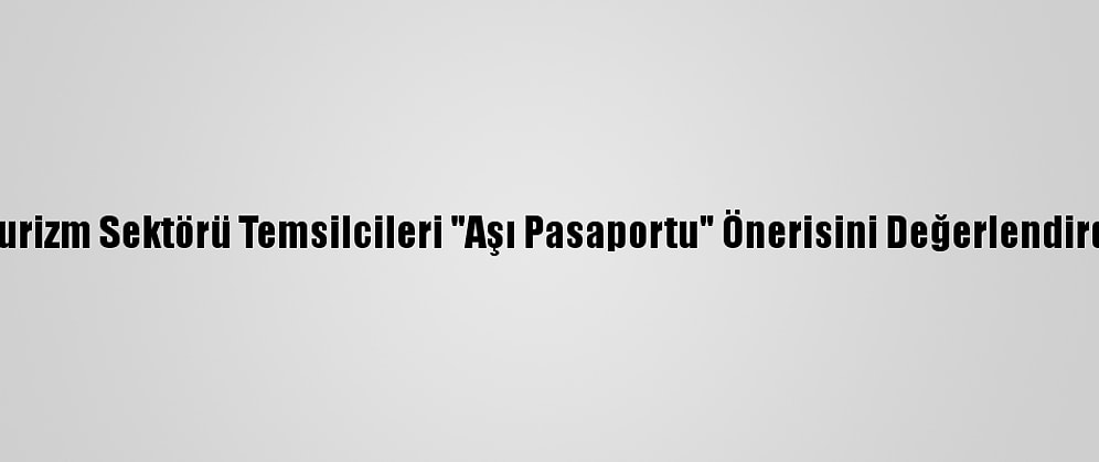 Turizm Sektörü Temsilcileri "Aşı Pasaportu" Önerisini Değerlendirdi