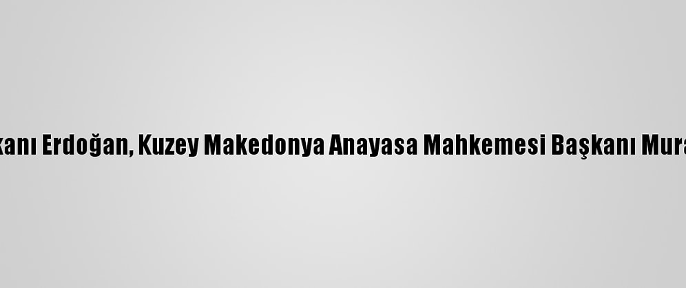 Cumhurbaşkanı Erdoğan, Kuzey Makedonya Anayasa Mahkemesi Başkanı Murat'ı Kabul Etti