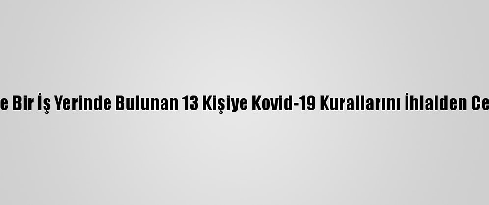 Kocaeli'de Bir İş Yerinde Bulunan 13 Kişiye Kovid-19 Kurallarını İhlalden Ceza Verildi
