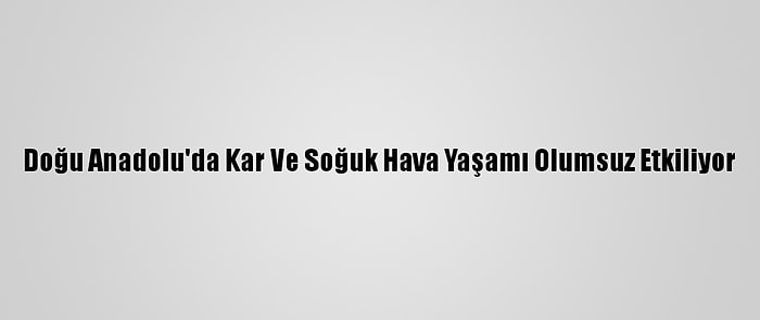 Doğu Anadolu'da Kar Ve Soğuk Hava Yaşamı Olumsuz Etkiliyor