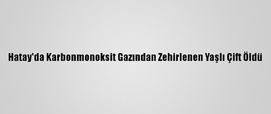 Hatay'da Karbonmonoksit Gazından Zehirlenen Yaşlı Çift Öldü