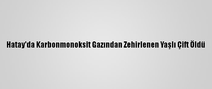 Hatay'da Karbonmonoksit Gazından Zehirlenen Yaşlı Çift Öldü