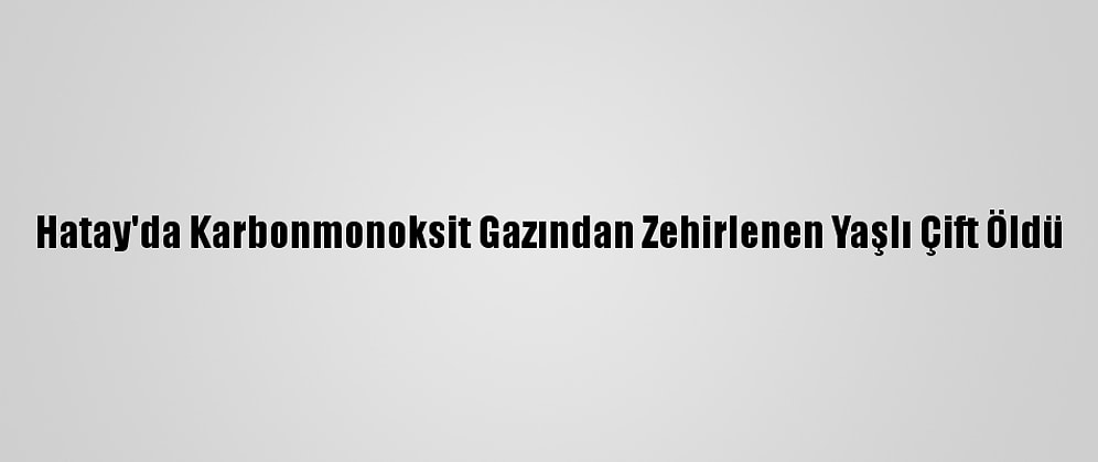 Hatay'da Karbonmonoksit Gazından Zehirlenen Yaşlı Çift Öldü
