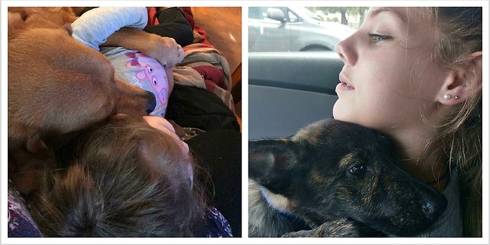 Если после просмотра этих 15 фото вы все еще скажете, что вашему ребенку не нужна собака, то вы, наверное, кот!