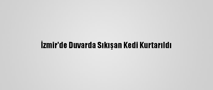 İzmir'de Duvarda Sıkışan Kedi Kurtarıldı