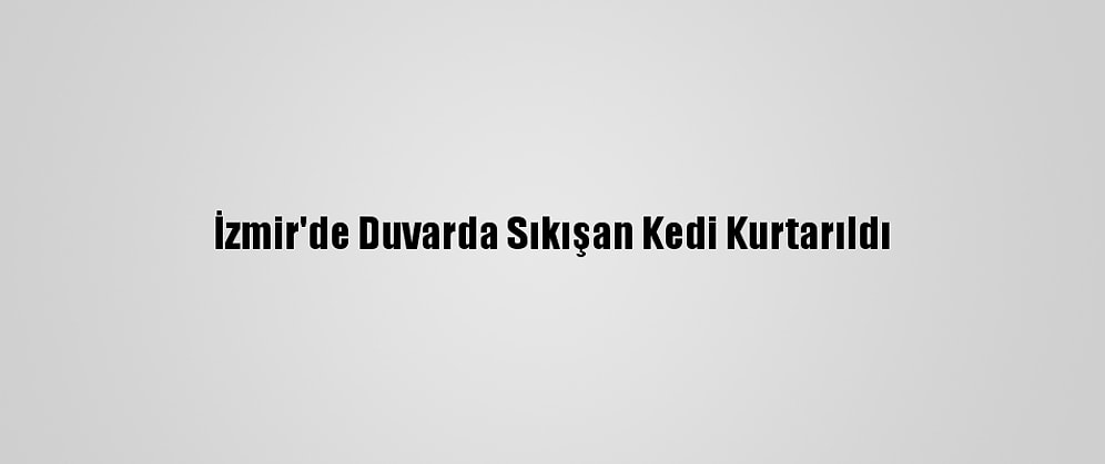 İzmir'de Duvarda Sıkışan Kedi Kurtarıldı