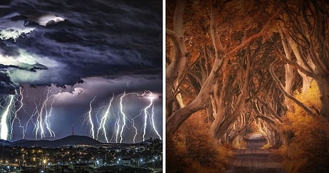 20 лучших фото природы от финалистов конкурса International Photography Awards 2020