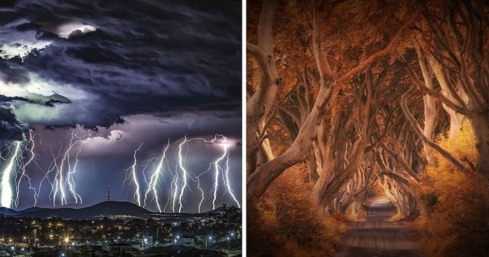 20 лучших фото природы от финалистов конкурса International Photography Awards 2020