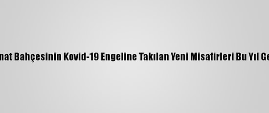 Hayvanat Bahçesinin Kovid-19 Engeline Takılan Yeni Misafirleri Bu Yıl Gelecek