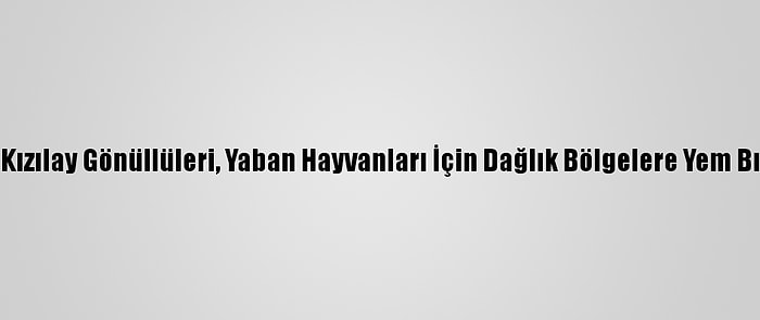 Türk Kızılay Gönüllüleri, Yaban Hayvanları İçin Dağlık Bölgelere Yem Bıraktı