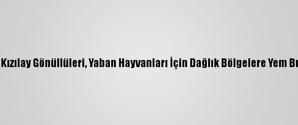 Türk Kızılay Gönüllüleri, Yaban Hayvanları İçin Dağlık Bölgelere Yem Bıraktı