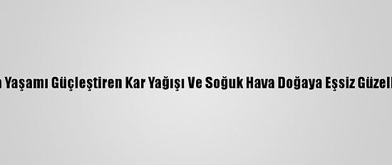 Doğu Anadolu'da Yaşamı Güçleştiren Kar Yağışı Ve Soğuk Hava Doğaya Eşsiz Güzellikler Kazandırdı