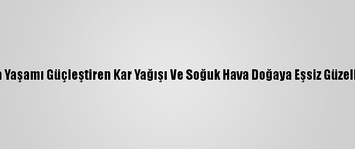 Doğu Anadolu'da Yaşamı Güçleştiren Kar Yağışı Ve Soğuk Hava Doğaya Eşsiz Güzellikler Kazandırdı