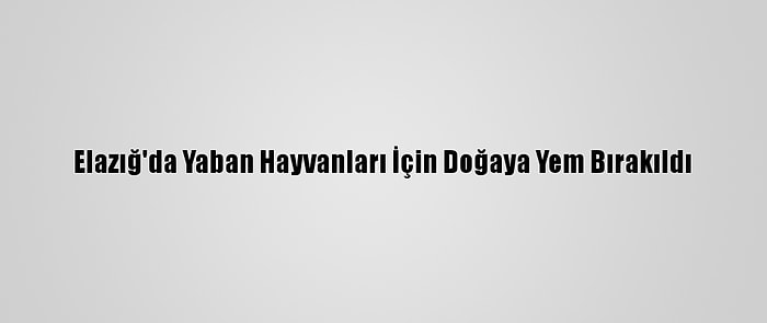 Elazığ'da Yaban Hayvanları İçin Doğaya Yem Bırakıldı