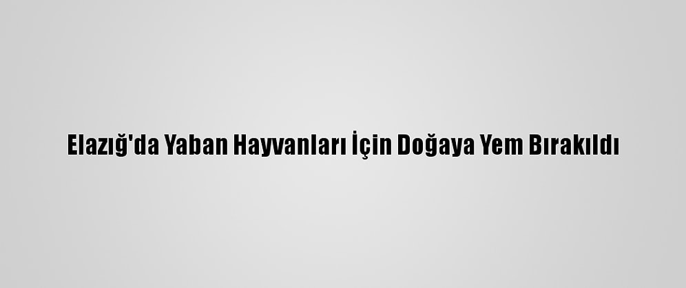 Elazığ'da Yaban Hayvanları İçin Doğaya Yem Bırakıldı