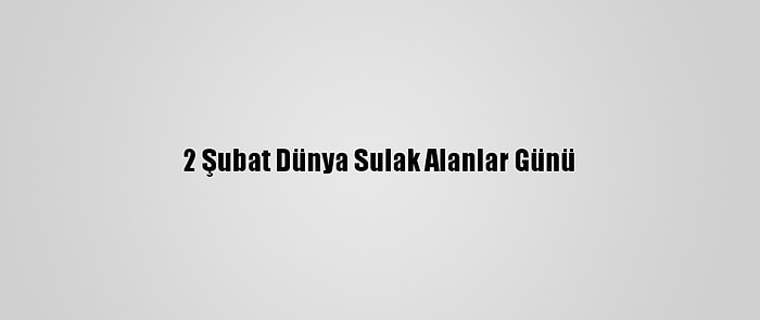 2 Şubat Dünya Sulak Alanlar Günü