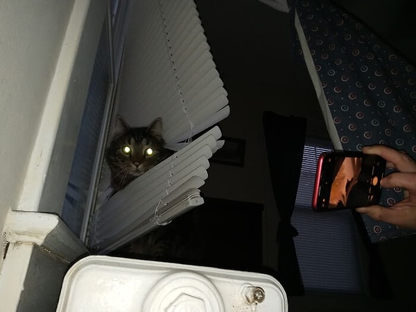 8. Мы с ним не спорим обычно...