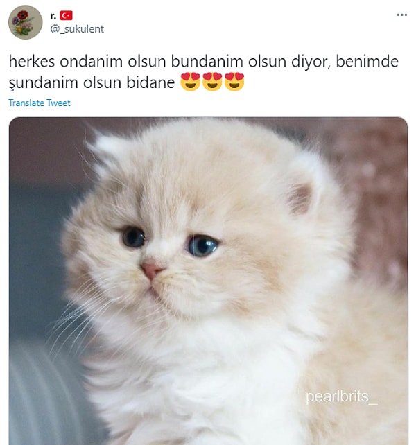 8. "Keşke bundanım, şundanım olsa"