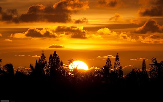 Sevgiliye, Arkadaşa En Güzel En Anlamlı Günaydın Mesajları!