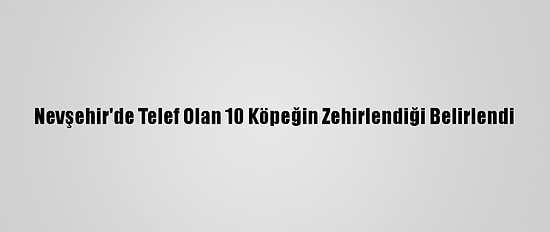 Nevşehir'de Telef Olan 10 Köpeğin Zehirlendiği Belirlendi