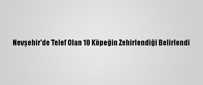 Nevşehir'de Telef Olan 10 Köpeğin Zehirlendiği Belirlendi