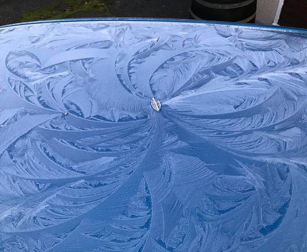 17. "Невероятные ледяные узоры, образовавшиеся вокруг одного-единственного листочка на крыше моей машины".