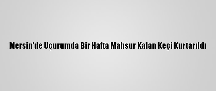 Mersin'de Uçurumda Bir Hafta Mahsur Kalan Keçi Kurtarıldı