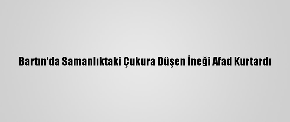 Bartın'da Samanlıktaki Çukura Düşen İneği Afad Kurtardı