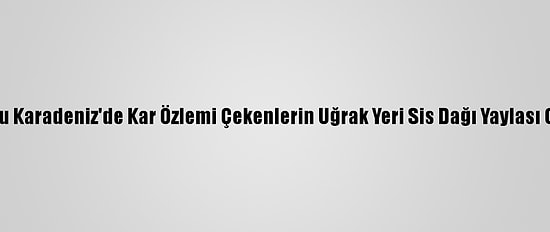 Doğu Karadeniz'de Kar Özlemi Çekenlerin Uğrak Yeri Sis Dağı Yaylası Oldu