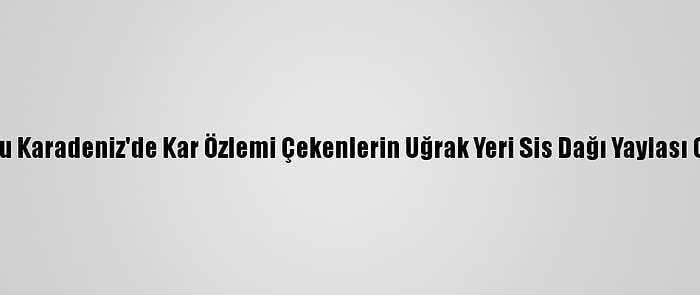 Doğu Karadeniz'de Kar Özlemi Çekenlerin Uğrak Yeri Sis Dağı Yaylası Oldu