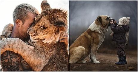 Hangi Hayvanla Arkadaş Olmalısın?
