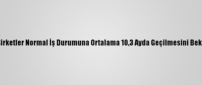 Ifo: Şirketler Normal İş Durumuna Ortalama 10,3 Ayda Geçilmesini Bekliyor