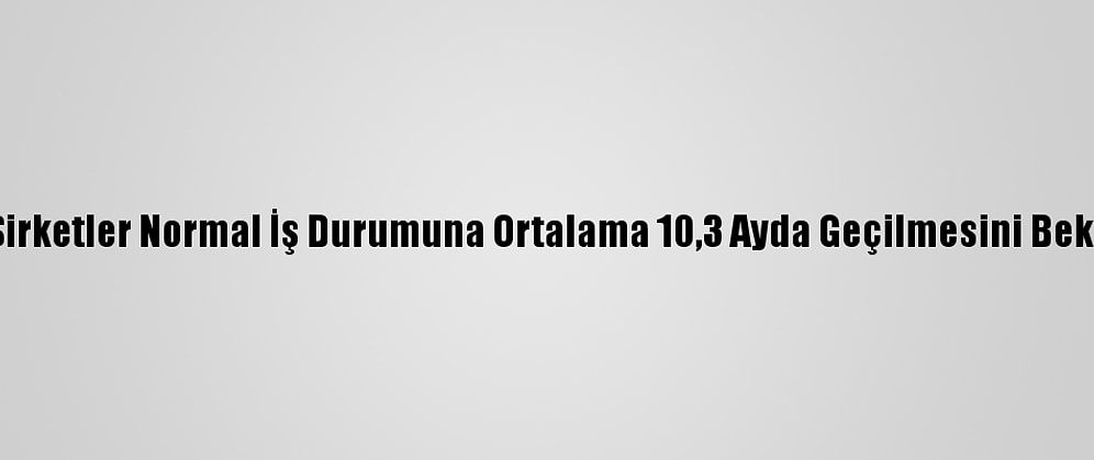Ifo: Şirketler Normal İş Durumuna Ortalama 10,3 Ayda Geçilmesini Bekliyor