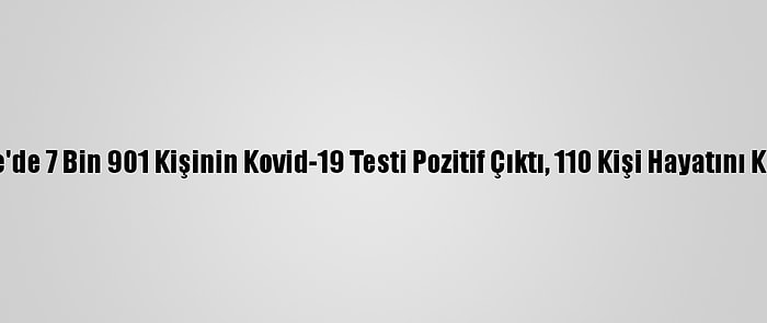 Türkiye'de 7 Bin 901 Kişinin Kovid-19 Testi Pozitif Çıktı, 110 Kişi Hayatını Kaybetti