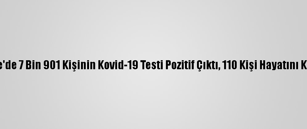 Türkiye'de 7 Bin 901 Kişinin Kovid-19 Testi Pozitif Çıktı, 110 Kişi Hayatını Kaybetti