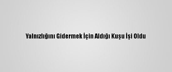 Yalnızlığını Gidermek İçin Aldığı Kuşu İşi Oldu