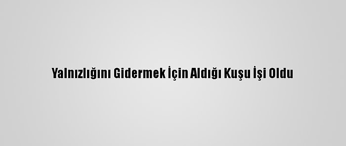 Yalnızlığını Gidermek İçin Aldığı Kuşu İşi Oldu