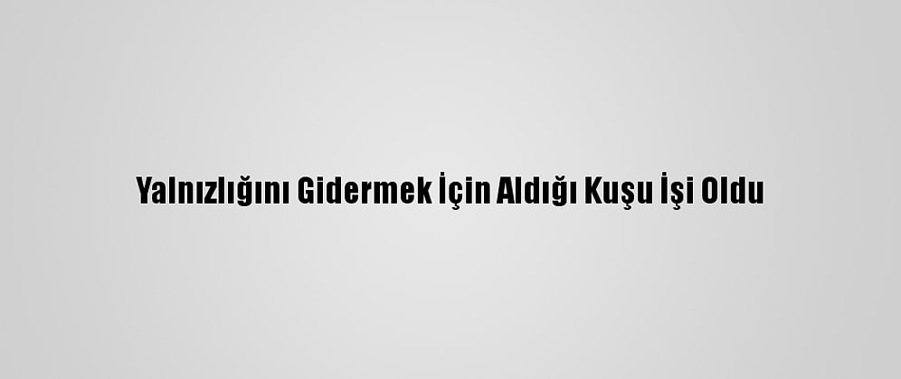 Yalnızlığını Gidermek İçin Aldığı Kuşu İşi Oldu
