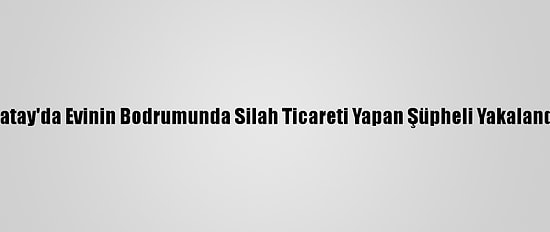 Hatay'da Evinin Bodrumunda Silah Ticareti Yapan Şüpheli Yakalandı