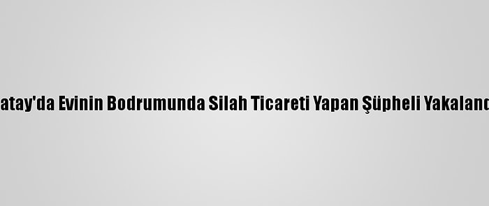 Hatay'da Evinin Bodrumunda Silah Ticareti Yapan Şüpheli Yakalandı