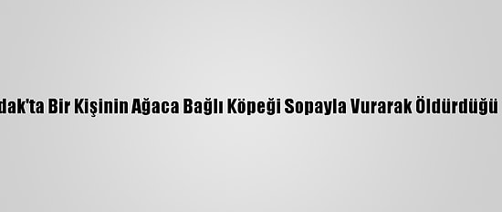 Zonguldak'ta Bir Kişinin Ağaca Bağlı Köpeği Sopayla Vurarak Öldürdüğü İddiası
