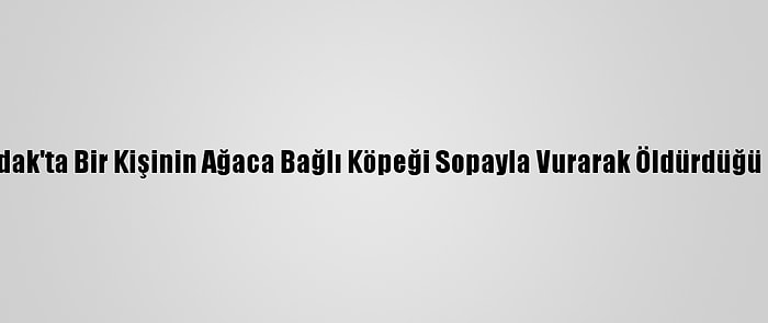 Zonguldak'ta Bir Kişinin Ağaca Bağlı Köpeği Sopayla Vurarak Öldürdüğü İddiası