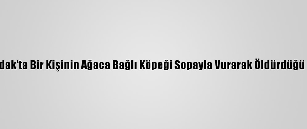 Zonguldak'ta Bir Kişinin Ağaca Bağlı Köpeği Sopayla Vurarak Öldürdüğü İddiası